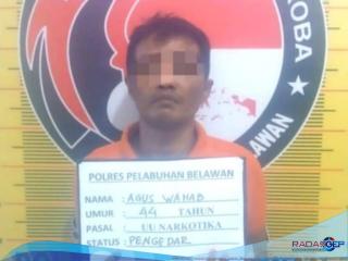 Sat Narkoba polres Pelabuhan Belawan Tangkap Pengedar Shabu di Kelambir Lima Kebon